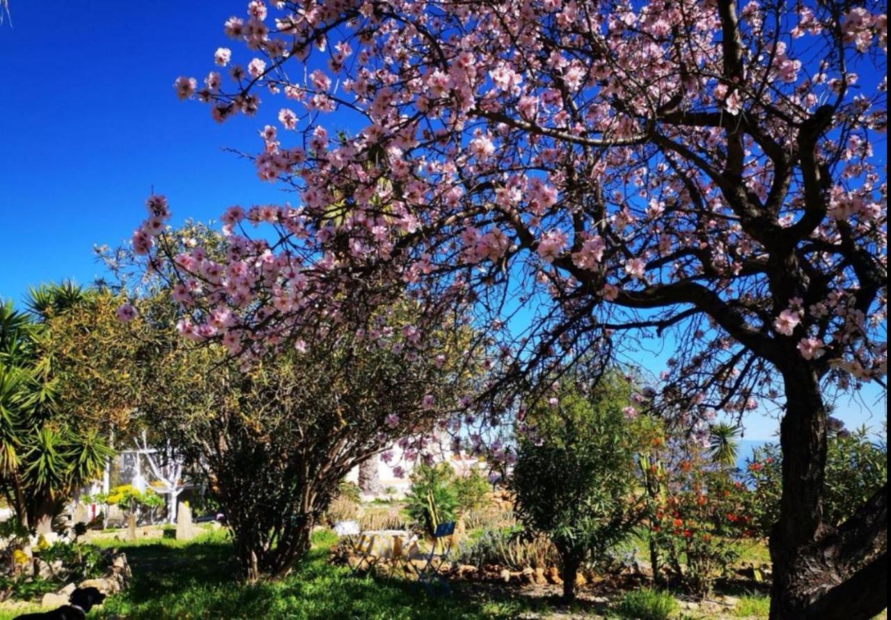 La Casita Ma Petite Folie Tenerife Σάντα Κρουζ Τενερίφης Εξωτερικό φωτογραφία