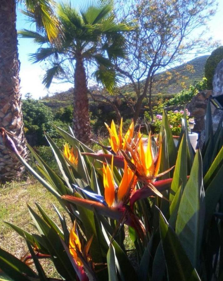 La Casita Ma Petite Folie Tenerife Σάντα Κρουζ Τενερίφης Εξωτερικό φωτογραφία