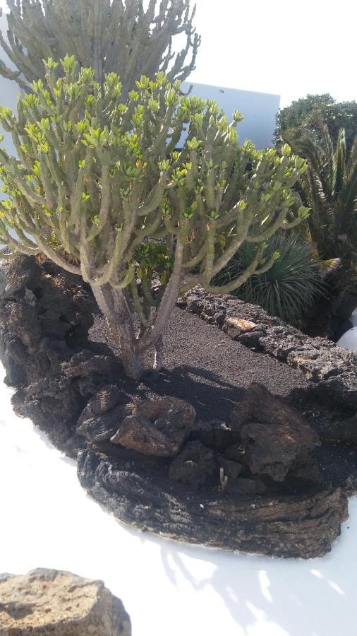 La Casita Ma Petite Folie Tenerife Σάντα Κρουζ Τενερίφης Εξωτερικό φωτογραφία